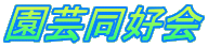|D