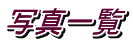 写真一覧