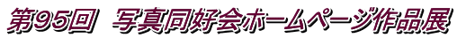 ��X�T��@�ʐ^���D��z�[���y�[�W��i�W