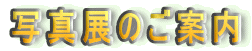 ʐ^Ŵē 